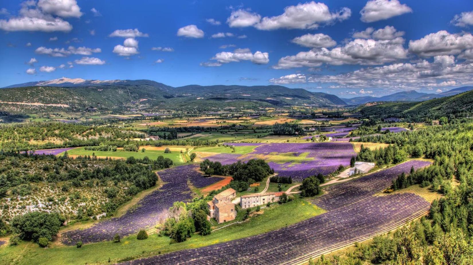 Gite Amour De Provence Chateaurenard Exterior photo
